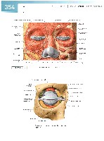 Sobotta Atlas of Human Anatomy  Head,Neck,Upper Limb Volume1 2006, page 361